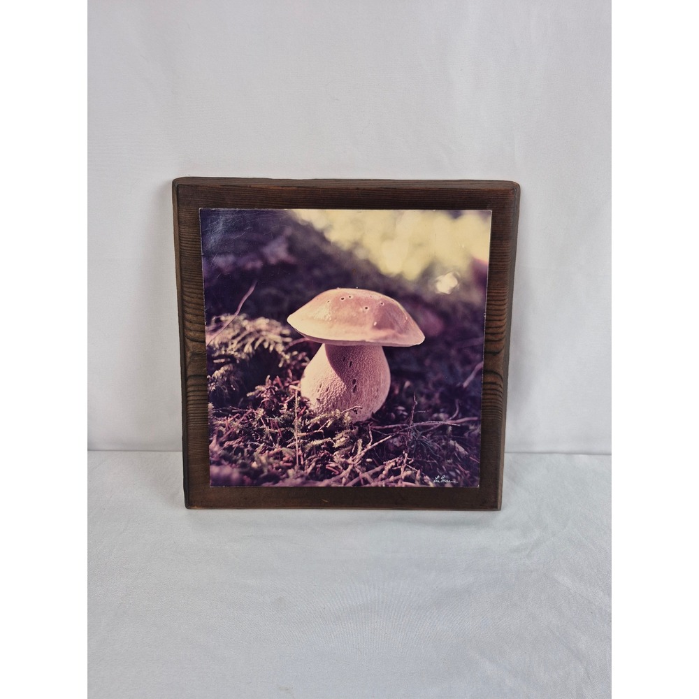 Vintage 1971 Lee Mann King Boletus Mushroom Photo Wood Mount NW Photo Arts 10x10